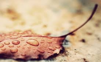 Giải thoát là cốt lõi của đạo Phật